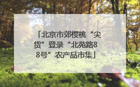 北京市郊樱桃“尖货”登录“北苑路88号”农产品市集