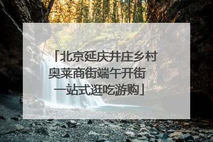 北京延庆井庄乡村奥莱商街端午开街 一站式逛吃游购