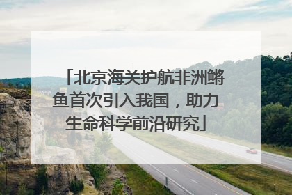 北京海关护航非洲鳉鱼首次引入我国，助力生命科学前沿研究