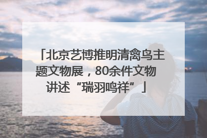 北京艺博推明清禽鸟主题文物展，80余件文物讲述“瑞羽鸣祥”