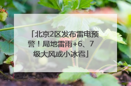 北京2区发布雷电预警！局地雷雨+6、7级大风或小冰雹