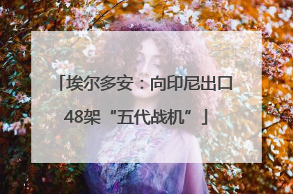 埃尔多安：向印尼出口48架“五代战机”