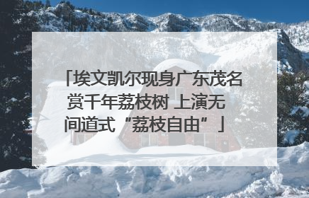 埃文凯尔现身广东茂名 赏千年荔枝树 上演无间道式“荔枝自由”
