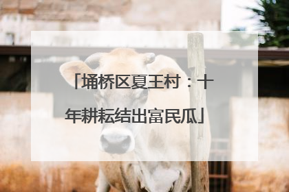 埇桥区夏王村：十年耕耘结出富民瓜