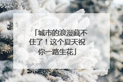 城市的浪漫藏不住了！这个夏天祝你一路生花