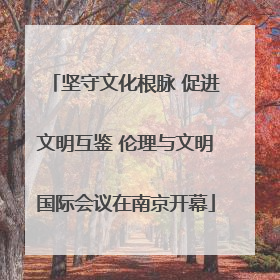 坚守文化根脉 促进文明互鉴 伦理与文明国际会议在南京开幕