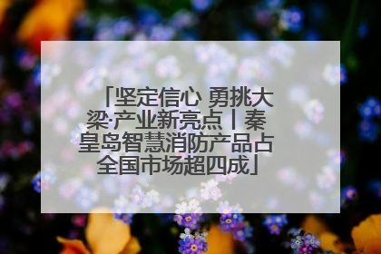 坚定信心 勇挑大梁·产业新亮点丨秦皇岛智慧消防产品占全国市场超四成