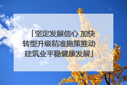 坚定发展信心 加快转型升级精准施策推动建筑业平稳健康发展