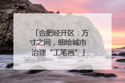 合肥经开区：方寸之间，细绘城市治理“工笔画”