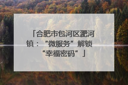 合肥市包河区淝河镇：“微服务”解锁“幸福密码”