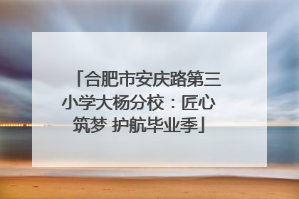 合肥市安庆路第三小学大杨分校：匠心筑梦 护航毕业季