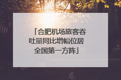 合肥机场旅客吞吐量同比增幅位居全国第一方阵