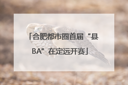 合肥都市圈首届“县BA”在定远开赛