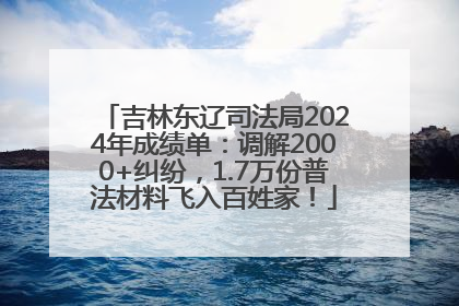 吉林东辽司法局2024年成绩单：调解2000+纠纷，1.7万份普法材料飞入百姓家！