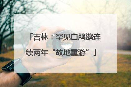 吉林：罕见白鸬鹚连续两年“故地重游”