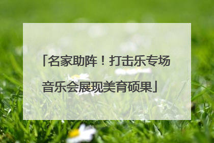 名家助阵！打击乐专场音乐会展现美育硕果
