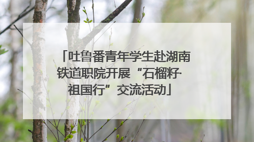 吐鲁番青年学生赴湖南铁道职院开展“石榴籽·祖国行”交流活动