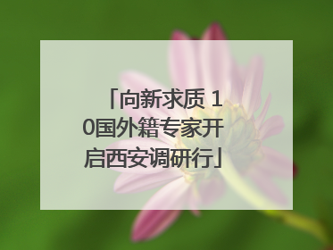 向新求质 10国外籍专家开启西安调研行