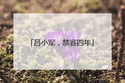 吕小军，禁赛四年