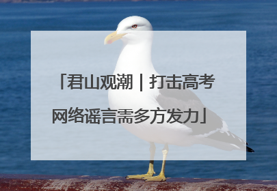 君山观潮｜打击高考网络谣言需多方发力