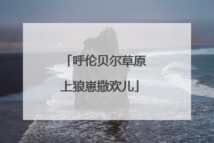 呼伦贝尔草原上狼崽撒欢儿