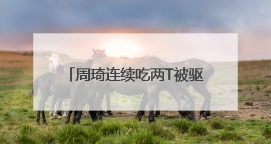 周琦连续吃两T被驱逐，全运会男篮小组赛四川队出师不利