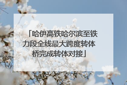 哈伊高铁哈尔滨至铁力段全线最大跨度转体桥完成转体对接