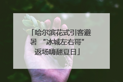 哈尔滨花式引客避暑 “冰城左右哥”返场嗨翻夏日
