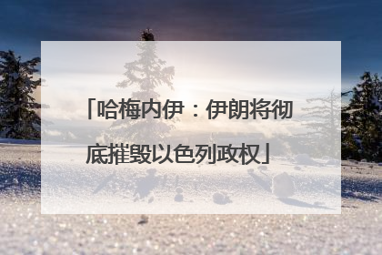 哈梅内伊：伊朗将彻底摧毁以色列政权