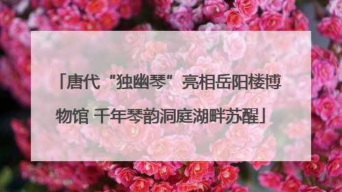 唐代“独幽琴”亮相岳阳楼博物馆 千年琴韵洞庭湖畔苏醒