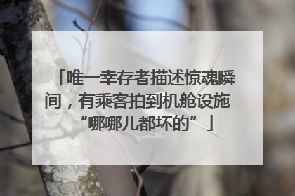 唯一幸存者描述惊魂瞬间，有乘客拍到机舱设施“哪哪儿都坏的”