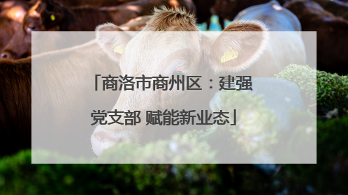 商洛市商州区：建强党支部 赋能新业态