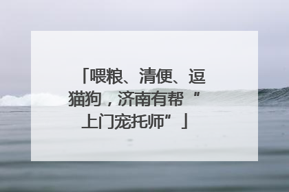 喂粮、清便、逗猫狗，济南有帮“上门宠托师”