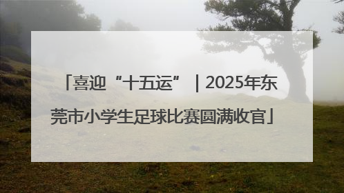 喜迎“十五运”｜2025年东莞市小学生足球比赛圆满收官