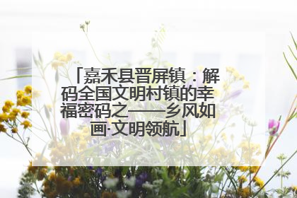 嘉禾县晋屏镇：解码全国文明村镇的幸福密码之——乡风如画·文明领航