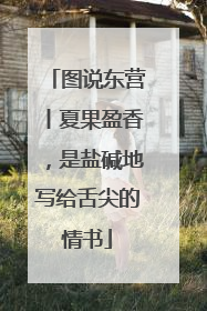 图说东营丨夏果盈香，是盐碱地写给舌尖的情书