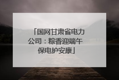国网甘肃省电力公司：粽香迎端午 保电护安康