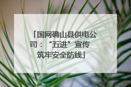 国网确山县供电公司：“五进”宣传 筑牢安全防线