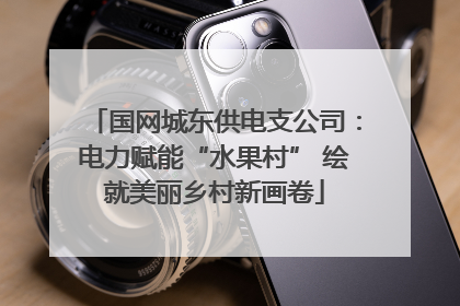 国网城东供电支公司：电力赋能“水果村” 绘就美丽乡村新画卷