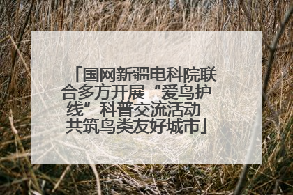国网新疆电科院联合多方开展“爱鸟护线”科普交流活动 共筑鸟类友好城市