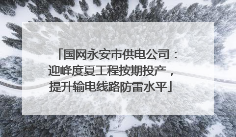 国网永安市供电公司：迎峰度夏工程按期投产，提升输电线路防雷水平