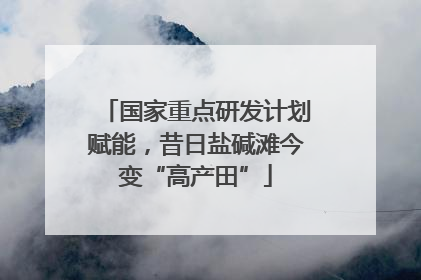 国家重点研发计划赋能，昔日盐碱滩今变“高产田”