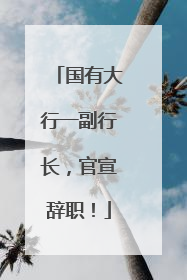 国有大行一副行长，官宣辞职！