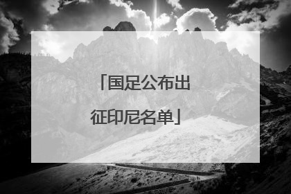 国足公布出征印尼名单