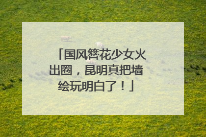 国风簪花少女火出圈，昆明真把墙绘玩明白了！
