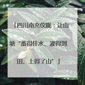 四川南充仪陇：让山塘“蓄得住水、灌得到田、上得了山”