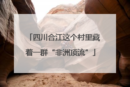 四川合江这个村里藏着一群“非洲顶流”