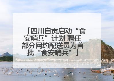 四川自贡启动“食安哨兵”计划 聘任部分网约配送员为首批“食安哨兵”