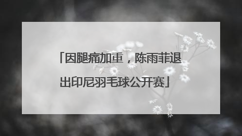 因腿痛加重，陈雨菲退出印尼羽毛球公开赛