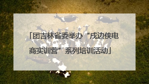 团吉林省委举办“戍边侠电商实训营”系列培训活动